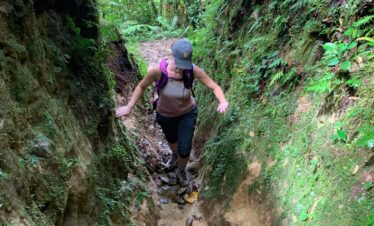Pianista / Culebra Hike